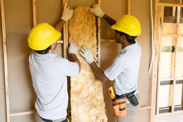 Best Eco-Friendly or Green Insulation Solutions in Georgetown, SC