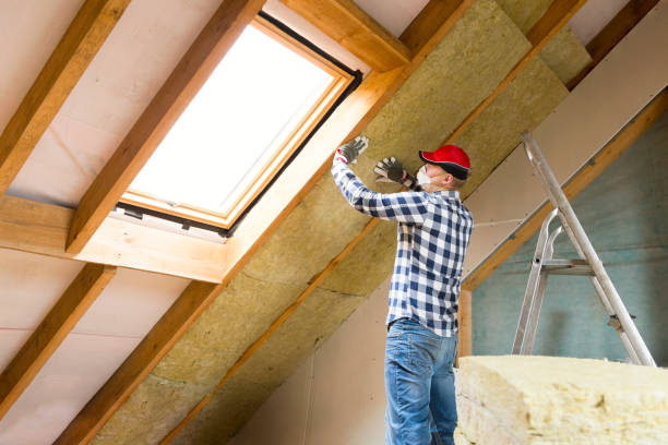 Professional Insulation Removal & Installation in Georgetown, SC